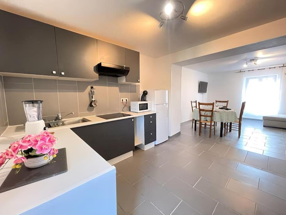 Cherpin Confort Urbain 1Er Etage Roanne Exterior foto